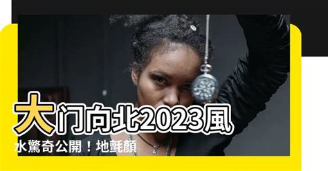 2023大門地氈顏色